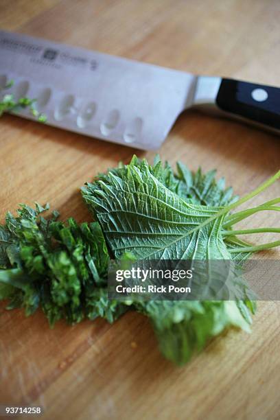 shiso leaf with knife - shiso stock pictures, royalty-free photos & images