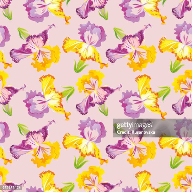 iris seamless pattern. vector. - iris flower stock illustrations