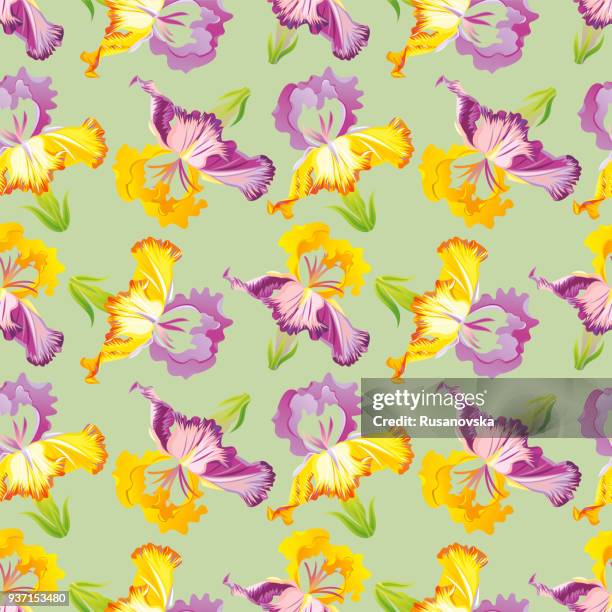iris seamless pattern. vector. - iris flower stock illustrations