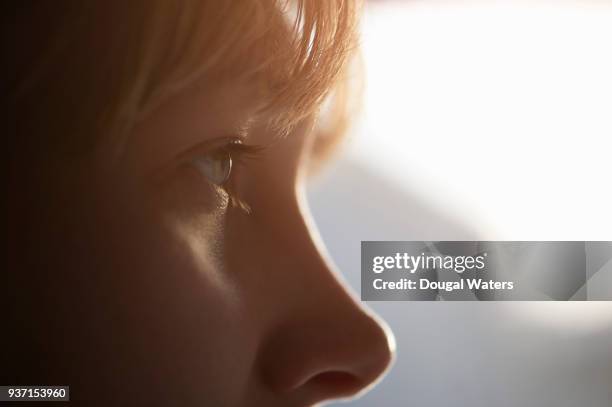 profile of woman's face and eye close up. - 人間の眼 ストックフォトと画像