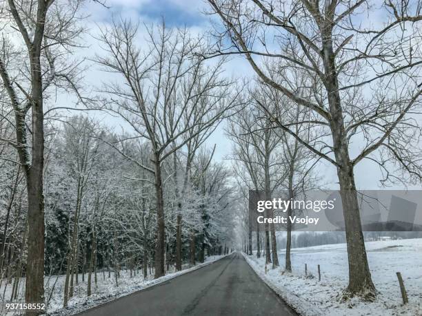 driving in snow on a a sunny day, czech republic - vsojoy stockfoto's en -beelden