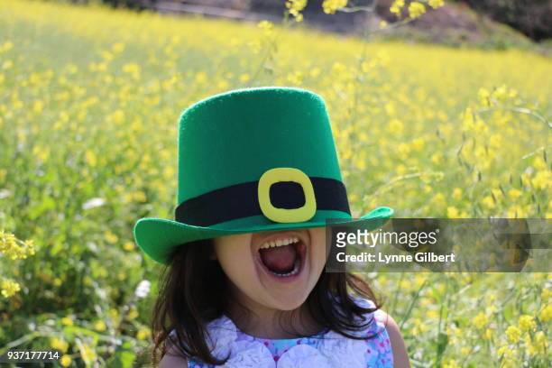 st. patrick’s day - st patricks day stock pictures, royalty-free photos & images
