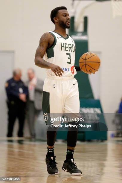 JeQuan Lewis of the Wisconsin Herd handles the ball against the Canton Charge during the NBA G-League game on March 23, 2018 at the Menominee Nation...