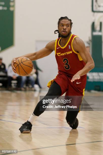 Marcus Thornton of the Canton Charge handles the ball against the Wisconsin Herd during the NBA G-League game on March 23, 2018 at the Menominee...