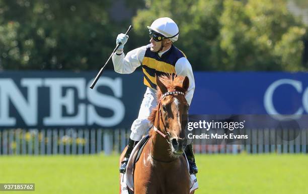 Darren Weir on Gailo Chop retuns to scale afte winning race 4 The Ranvet Stakes during Golden Slipper Day at Rosehill Gardens on March 24, 2018 in...