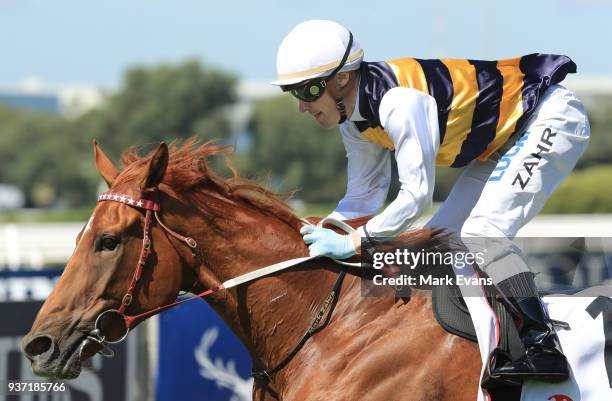 Darren Weir on Gailo Chop wins race 4 The Ranvet Stakes during Golden Slipper Day at Rosehill Gardens on March 24, 2018 in Sydney, Australia.