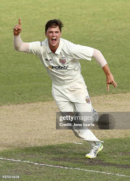 Queensland player Mitch Swepson celebrates as his team mate Michael Neser ran out George Bailey of Tasmania, during day two of the Sheffield Shield...