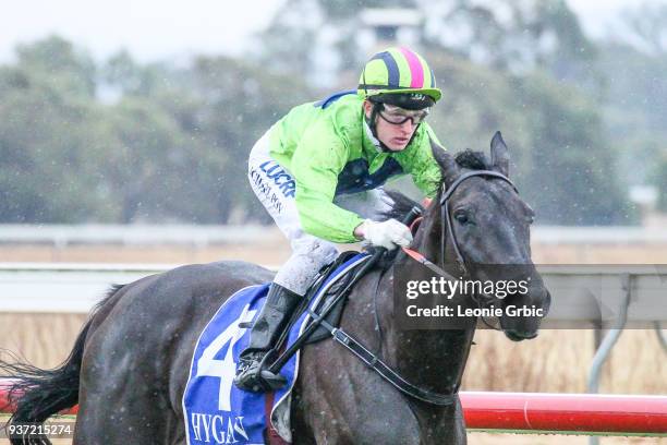 The Black Leopard ridden by Michael Poy wins the OâDonnells Transport Lakes Entrance Cup at Bairnsdale Racecourse on March 24, 2018 in Bairnsdale,...