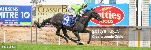 The Black Leopard ridden by Michael Poy wins the OâDonnells Transport Lakes Entrance Cup at Bairnsdale Racecourse on March 24, 2018 in Bairnsdale,...