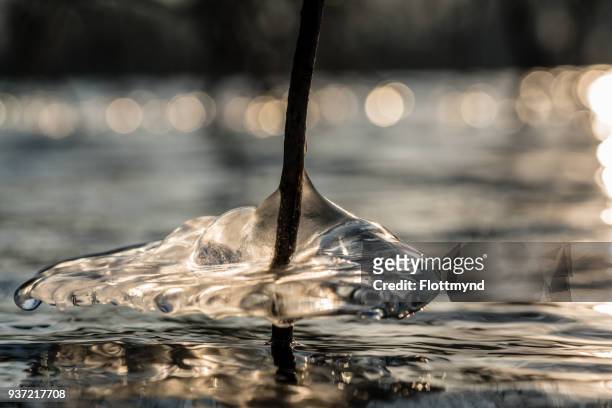 ice formations during wintertime - haarlemmermeer stock pictures, royalty-free photos & images