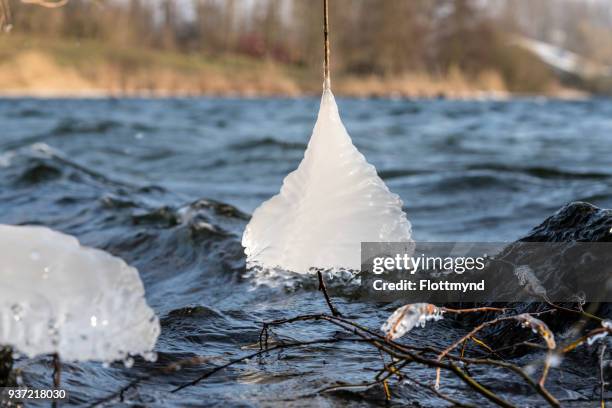 ice formations during wintertime - haarlemmermeer stock pictures, royalty-free photos & images