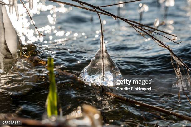 ice formations during wintertime - haarlemmermeer stock pictures, royalty-free photos & images