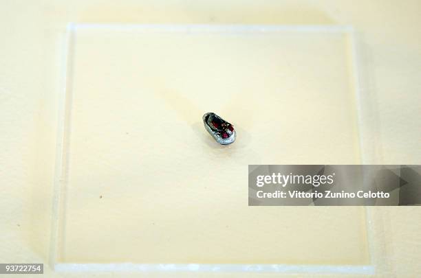 The smallest shoe in the world is displayed at the International Footwear Museum Of Vigevano on December 3, 2009 in Vigevano, Italy.