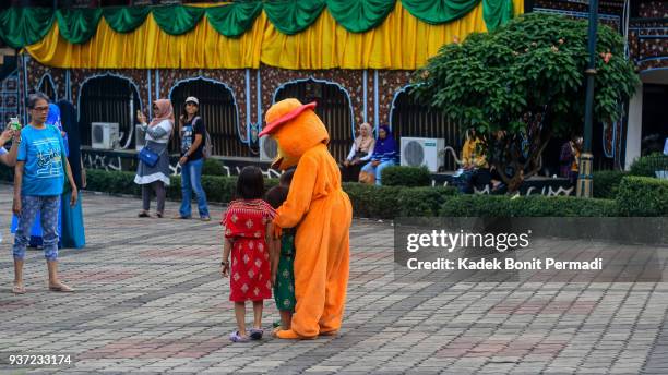 the duck clowns - jesters hat stock pictures, royalty-free photos & images
