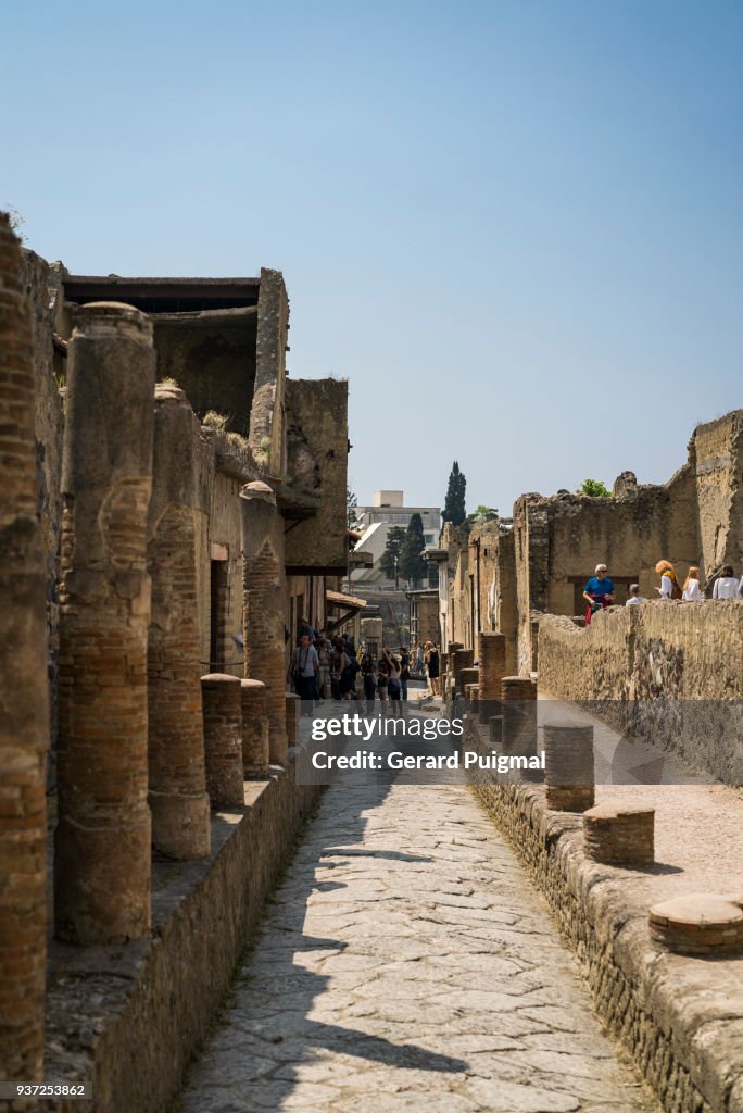 Ruins of Herculaneum (Ercolano)
