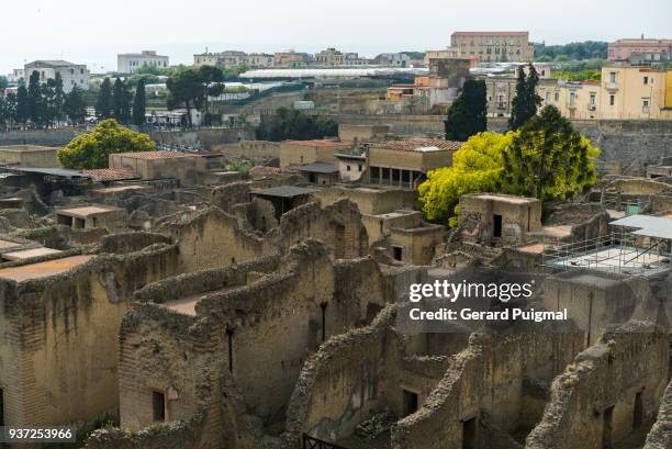 ruins of herculaneum (ercolano) - gerard puigmal stock pictures, royalty-free photos & images