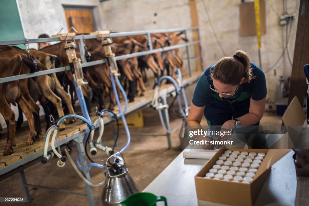 Woman doing receipt entry of milk samples