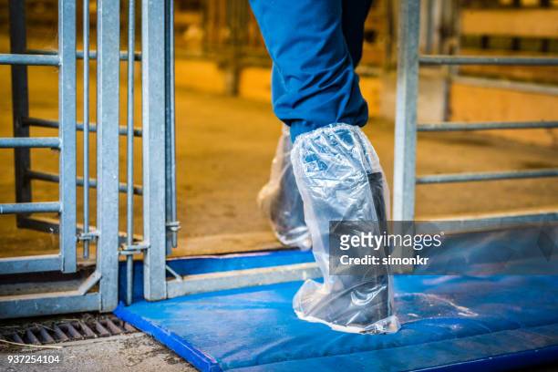 woman wearing shoe protector - shoe covers stock pictures, royalty-free photos & images