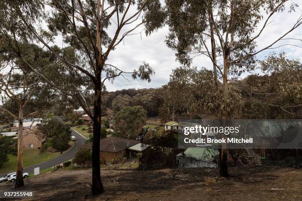 Burnt bushland in Tathra, Australia, on March 24, 2018 . A bushfire which started on 18 March destroyed 65 houses, 35 caravans and cabins, and...