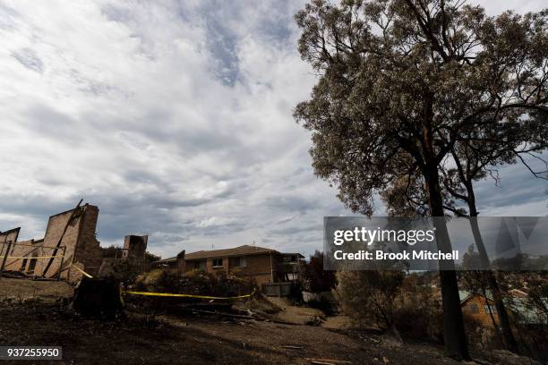 Burnt bushland in Tathra, Australia, on March 24, 2018 . A bushfire which started on 18 March destroyed 65 houses, 35 caravans and cabins, and...