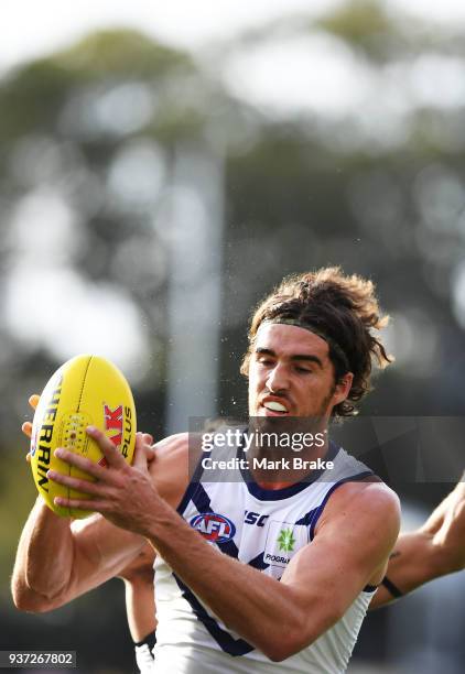 Alex Pearce of the Dockers marks during the round one AFL match between the Port Adelaide Power and the Fremantle Dockers at Adelaide Oval on March...