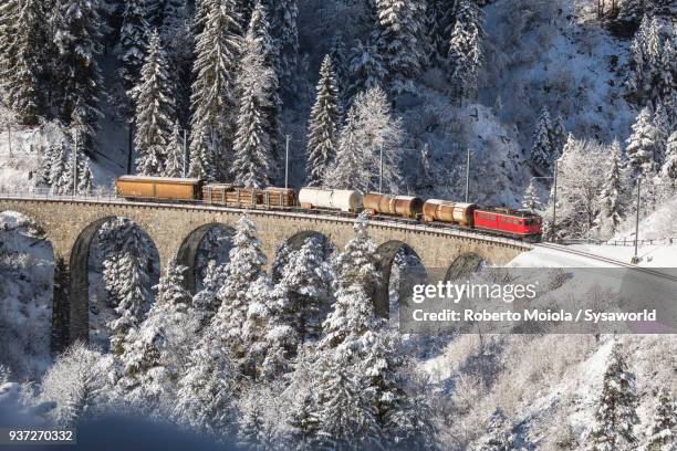 bernina express train on landwasser viadukt - svizzera 個照片及圖片檔