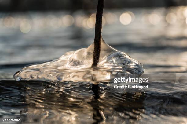 ice formations during wintertime - haarlemmermeer stock pictures, royalty-free photos & images