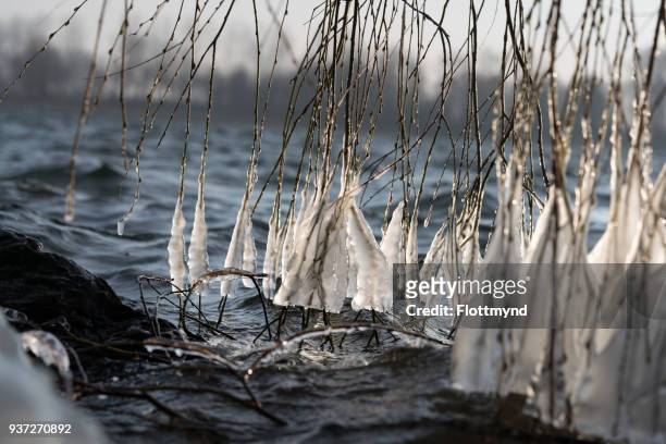 ice formations during wintertime - haarlemmermeer stock pictures, royalty-free photos & images