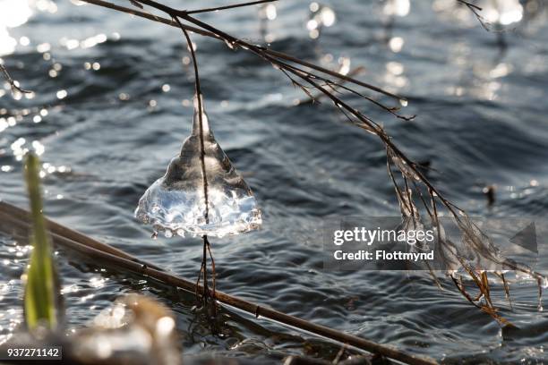 ice formations during wintertime - haarlemmermeer stock pictures, royalty-free photos & images