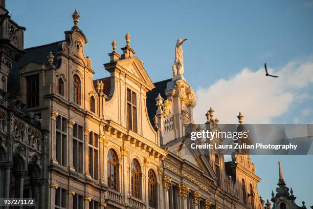 guildhalls on the grote markt square - brussels hoofdstedelijk gewest stock-fotos und bilder