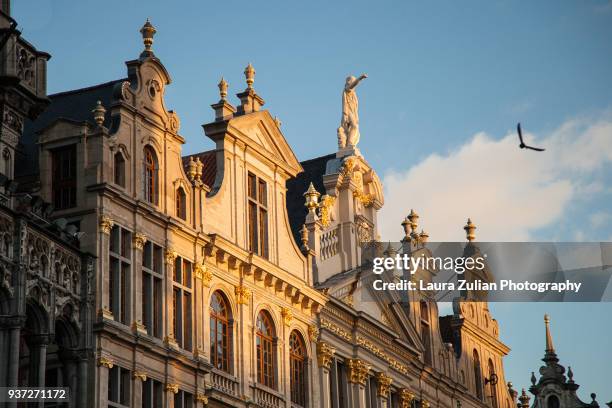 guildhalls on the grote markt square - brussels stock pictures, royalty-free photos & images