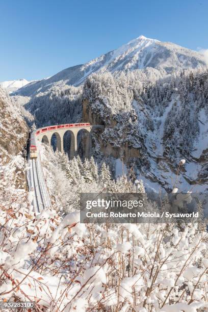 bernina express train, switzerland - svizzera stockfoto's en -beelden