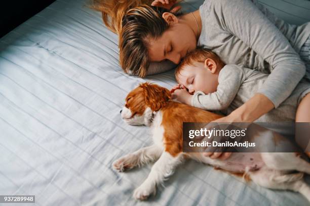 young mother taking a nap with her babies - family on bed stock pictures, royalty-free photos & images