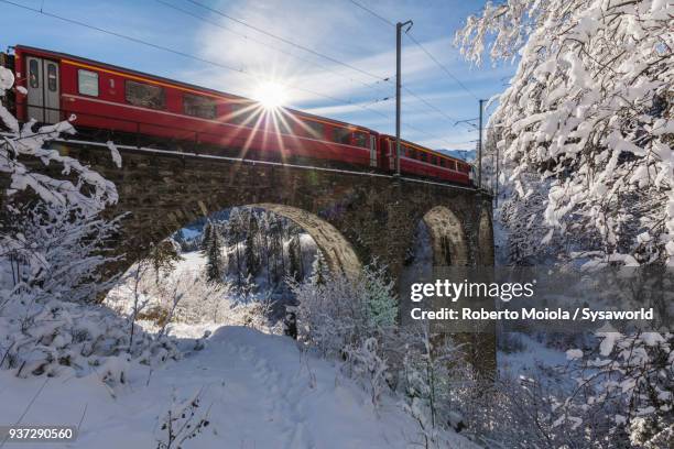 bernina express train, switzerland - svizzera 個照片及圖片檔