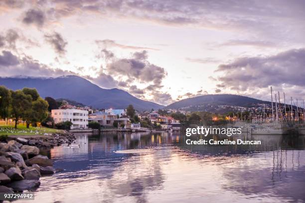 evening in sandy bay, hobart, tasmania - hobart ストックフォトと画像