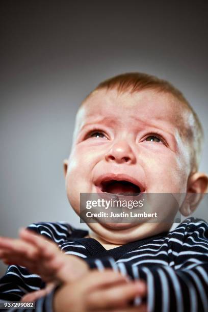 baby girl crying while being photographed mouth open and turning pink photographed on a grey backdrop - baby girl stock pictures, royalty-free photos & images