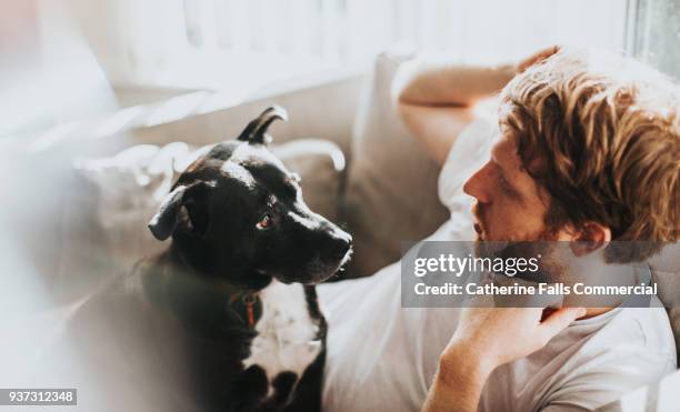 man and dog - black and white dog stock pictures, royalty-free photos & images