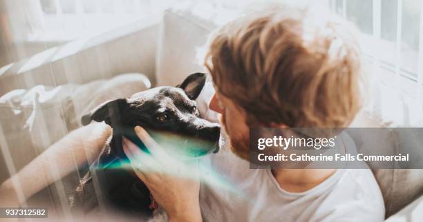 man and dog - dog indoors stock pictures, royalty-free photos & images