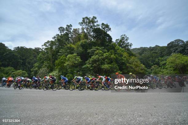 The peloton runs through the jungle during the seventh stage, the 222.4 km from Nilai to Muar, of the 2018 Le Tour de Langkawi. On Saturday, March 24...