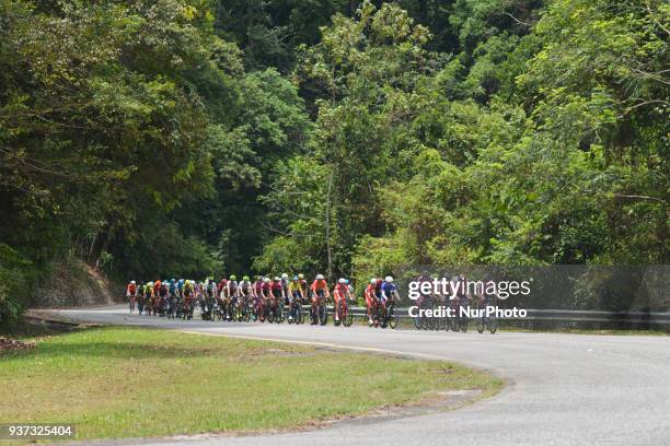 The peloton runs through the jungle during the seventh stage, the 222.4 km from Nilai to Muar, of the 2018 Le Tour de Langkawi. On Saturday, March 24...