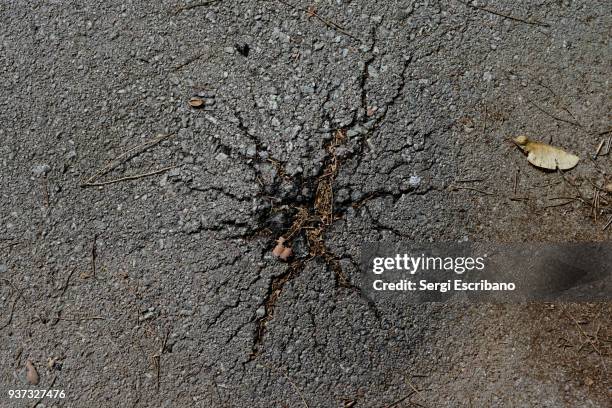asphalt cracked - pavement stock pictures, royalty-free photos & images