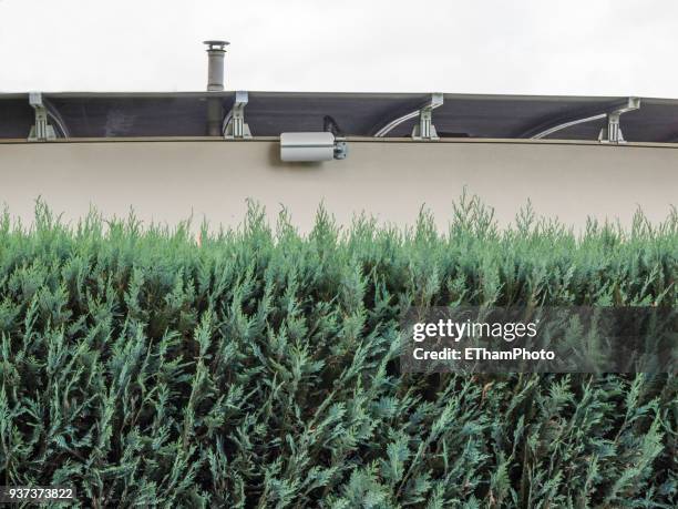 roof of stationary mobile home behind neatly trimmed thuja hedge - overgrown hedge stock pictures, royalty-free photos & images