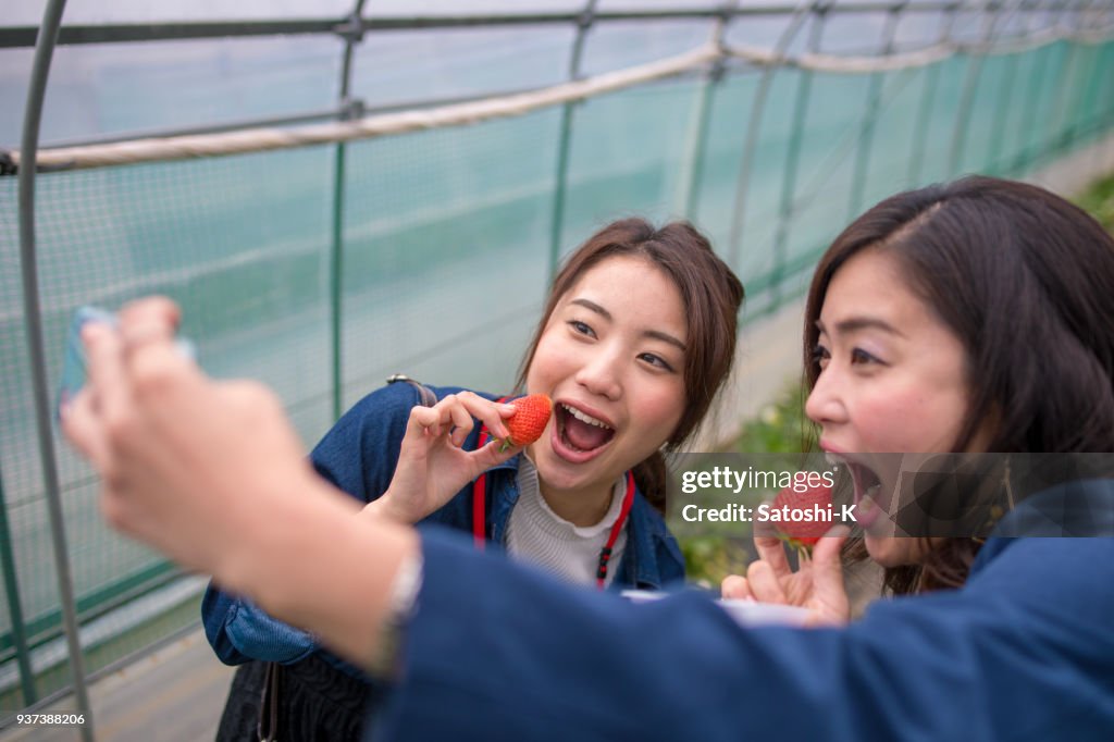 Young sisters taking selfe picture in strawberry farm