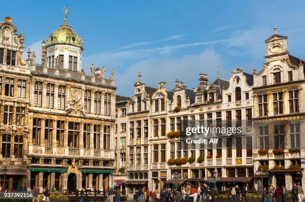 the grand place of brussels, brussels, belgium - pilaster stock pictures, royalty-free photos & images