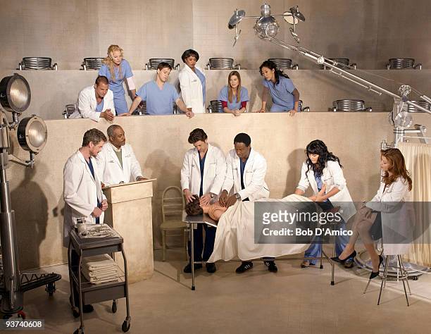 Walt Disney Television via Getty Images Television Network's "Grey's Anatomy" stars Justin Chambers as Alex Karev, Katherine Heigl as Isobel "Izzie"...