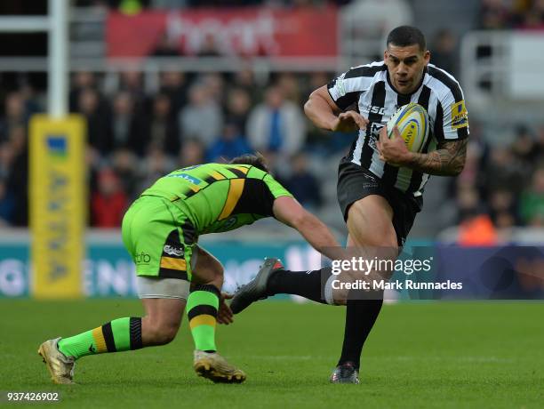 Josh Matavesi of Newcastle Falcons is tackled by Nic Groom of Northampton Saints in the first half during the Aviva Premiership match between...