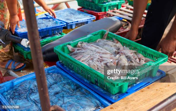 Fish Load Fish Loads Photos and Premium High Res Pictures - Getty Images