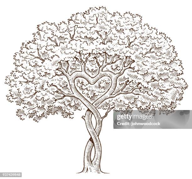 ilustraciones, imágenes clip art, dibujos animados e iconos de stock de árbol de corazón dibujado mano - parejas tiernas