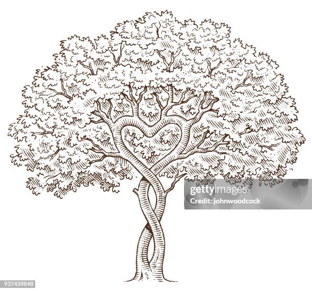 hand drawn heart tree - affectionate couple stock illustrations