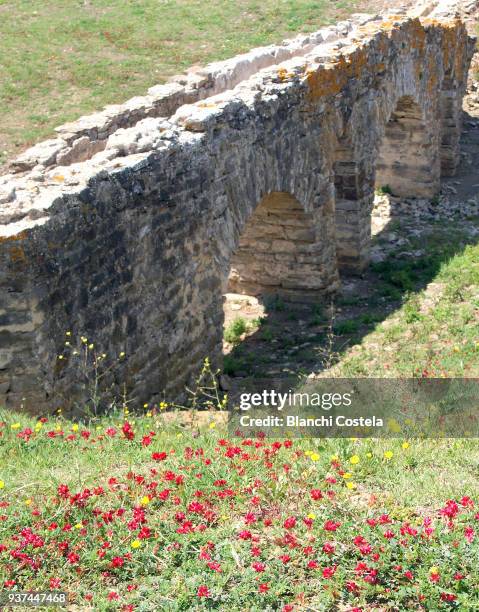 ruins of baelo claudia in tarifa cadiz - baelo claudia stock-fotos und bilder